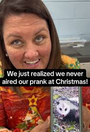 Possum in The Lunch Box