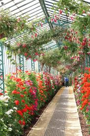 Serres Royales De Laeken En 2020 Kew Gardens Architecte Paysagiste Jardin D Hiver