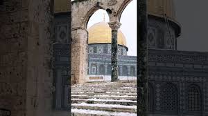 Have a massive snow fight! Live Heavy Snowfall In Masjid Al Aqsa Courtyard Palestine Shorts Youtube