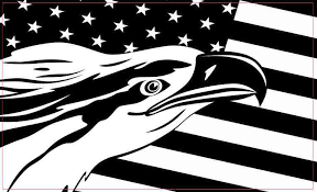 See more ideas about hawk logo, hawk, bird logos. 5in X 3in Black And White Eagle American Flag Sticker Vinyl Bumper Decal Walmart Com Walmart Com