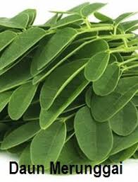 Buy moringa capsules, moringa tea, moringa powder, moringa oil, moringa extract, moringa leaves, moringa soap, moringa shea butter, moringa honey & moringa flower online. Anim Agro Technology Merunggai Berkhasiat