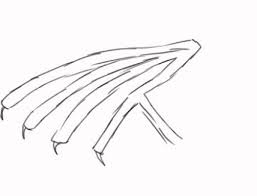 Folded angel wings new wing development pencil lines by. Drawing Webbed Wings Basics By Darkflame377 Clip Studio Tips