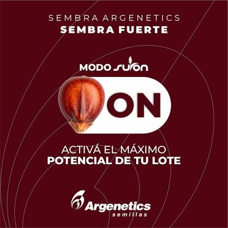 MODO SURON: ON 🔛🌱 Encendé el máximo potencial de tu sorgo. Es momento de cambiar las reglas del juego en el lote. Con la tecnología SURON activada, tu cultivo pasa al siguiente