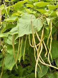 Record #348064 Details