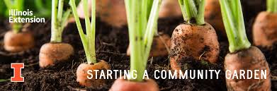 Gain greater community support by welcoming visitors and sharing updates on how the neighborhood is benefiting from the garden's existence. How To Start A Community Garden Webinar University Of Illinois Extension