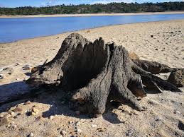 A praia muito perto do alojamento e piscina incrível também. Barragem De Montargil Portalegre Destimap Destinations On Map