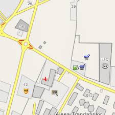 Liceul teoretic „bogdan petriceicu hasdeu str. Grupul Scolar Voievodul Mircea Targoviste