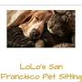 LoLo's San Francisco Pet Sitting from m.facebook.com
