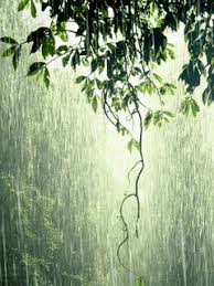 MENSAGENS E SCRAPS DA NEUSA: GIFS DE CHUVA CAINDO