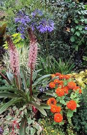 Great Dixter Gardens East Sussex Uk 9 Of 23 A Vibrant Dynamic And Inspirational English Garden With Great Container Planting English Garden Container Plants East Sussex