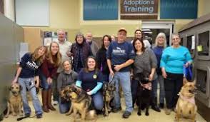 Fayette county 120 evans street, uniontown, pa map it. 5 Best German Shepherd Rescues In Virginia 2021 We Love Doodles