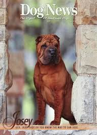 Not as cheap as repainting but would add to the epc rating. Dog News June 14 2013 By Dog News Issuu