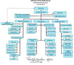 Organizational Structure Of U S Department Of Essay Sample