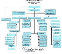 organizational structure of u s department of essay sample