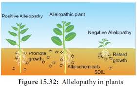 The curriculum includes medical terminology, anatomy, physiology and mock visits. Stress Physiology Plant