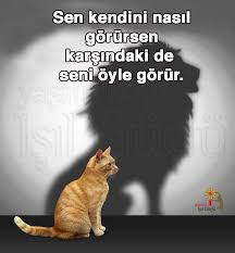 Semra Erengul Adli Kullanicinin Ozlu Sozler Ve Siirler Panosundaki Pin Ozlu Sozler Siir
