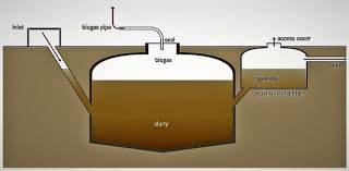 Whenever you add grass clippings to your compost be sure to turn it every few days to release hot spots and ensure even decomposing. Biogas How The U S Can Power 46 Million Homes With Energy From Food Scraps Grass Clippings And Feces Endalldisease