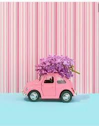 Wallpapers Duvar Kagidi Ekran Fotosu Tema Profil Fotosu Duvar Resmi Tosbaga Pembe Pembe Araba Resimler Download duvar kağıdı pembe laleler dinamik (laleler) indir gifmania ağlar, ücretsiz internet siteleri ağdan pc için. wallpapers duvar kagidi ekran fotosu