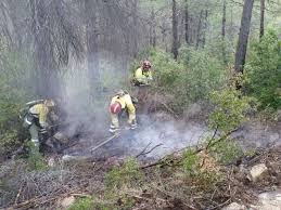 El incendio del algarve (sur de portugal), desatado el pasado viernes, se ha estabilizado hoy al disminuir la intensidad de los frentes del fuego, que alcanza un perímetro de 100 kilómetros y. Casi 200 Bomberos Combaten Un Incendio En El Sur De Portugal Internacional Cope