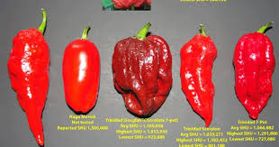 Grow The Hottest Peppers In The World If You Dare Stuffed Peppers Stuffed Hot Peppers Super Hot Peppers