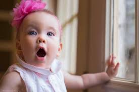 What's happening at the Dara's