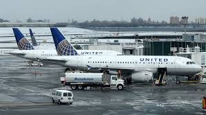 Pets are allowed on international flights to/from the dominican republic and mexico. United Airlines Suspends Cargo Program For Animals After Spate Of Missteps The New York Times