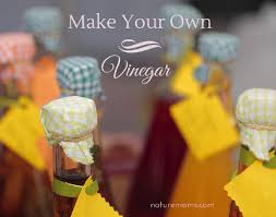 Make Your Own Vinegar At Home