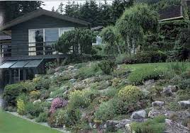 Alpine Garden Landscape Design Alpine Garden Garden Plots