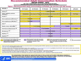 Adult Immunization