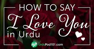 Ünlü ve amatör yazarlardan en güzel will u be my valentine means in urdu kitapları incelemek ve satın almak için tıklayın. How To Say I Love You In Urdu Romantic Word List