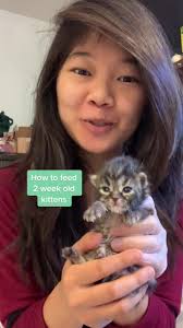 How to Raise A 2 Week Kitty