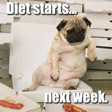Complete Diet Plan For Pug Puppies And Dogs In India