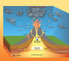 Maybe you would like to learn more about one of these? Understanding Meltdowns The Adhd Volcano Model Chadd