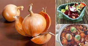 How to open up.onion sites. 8 Onion Skin Uses You Wish To Knew Before Balcony Garden Web