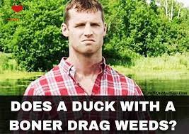 Hockey is a fun, competitive sport that can be played either on ice, on a roller rink, or in a field. Best Letterkenny Memes Letterkenny Quotes Response Memes Letterkenny