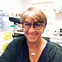 30+ perfiles de «Bergman»