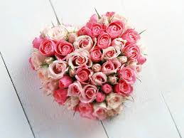 Image result for Love, roses,hearts