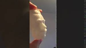 Thinkfun ceo bill ritchie explains how the hollow face illusion works with a giant thinky! The Vase Face Tesla Einstein Hollow Face Illusion By Amygdoloid Download Free Stl Model Prusaprinters
