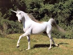 North Korea Announces Discovery Of Unicorns Scotlands National Animal Unicorn Memes Unicorn Funny
