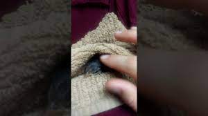 Baby birds have very demanding dietary needs. Bathing A Baby Bird Youtube