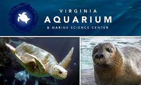 Virginia beach aquarium discount promo code. Virginia Aquarium Marine Science Center In Virginia Beach Virginia Groupon