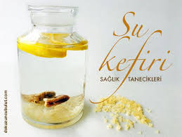 Su Kefiri Mayalama Ve Kefir Saklama Kefir Limonata Bitkisel Tarifler