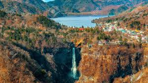 Résultat de recherche d'images pour "nikko"