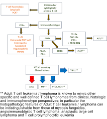 Pathology Outlines Adult T Cell Leukemia Lymphoma