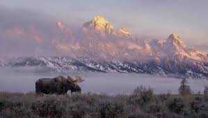 Wyoming Through The Lens: A Decade Of Dazzling Cowboy State Imagery