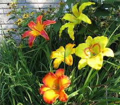 Uroboros art glass is some of the most beautiful glass that is created in the stained glass industry. Fused Glass Lilies Pdf E Book Etsy Schmelzglas Natur Kunst Blumen Pflanzen