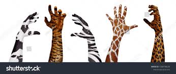 Wild Animals Skin On Human Hands Concept Of Animal Protection Attention To Poachers Real Skin Fashion Use I Animals Wild Animal Protection Wildlife Animals