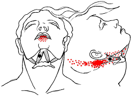Pin On Exercise