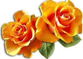 Gify Animacja Obrazki Png Roze Png Masa Roz Png Orange Rosen Schone Rose Rosen