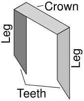 Staple Fastener Wikipedia